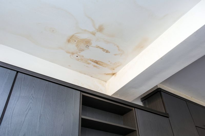 Attic Water Damage Repair in Denver, CO