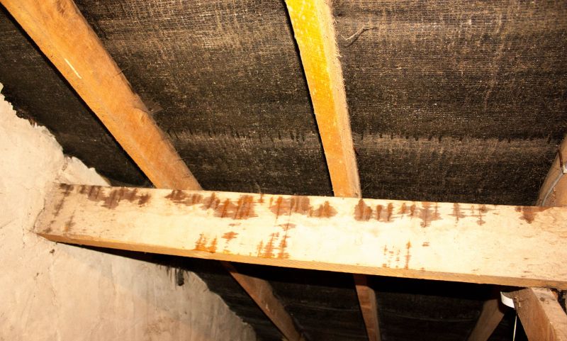 Building Damage Repair in Houston, TX