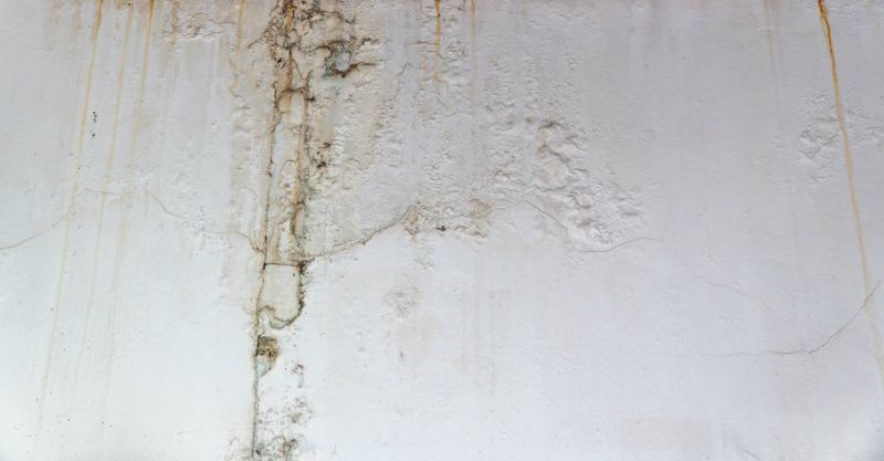 Ceiling Leak Repair Service in Charleston, SC