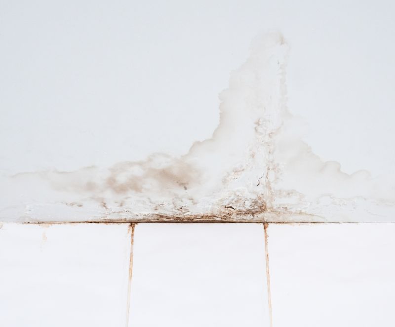 Bathroom Water Damage Repair in Santa Rosa, CA